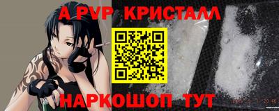гидра Будённовск